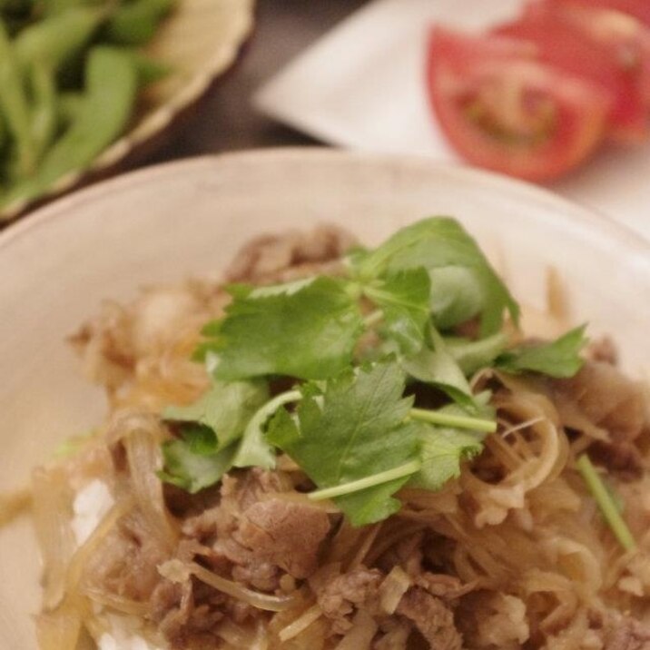 ささがきごぼうたっぷり♪ヘルシー牛丼